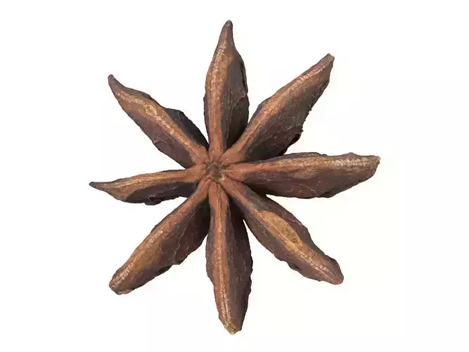 Photorealistic Star Anise 3D Scan