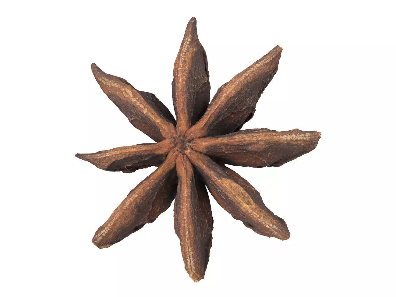 Photorealistic Star Anise 3D Scan 3D model_0