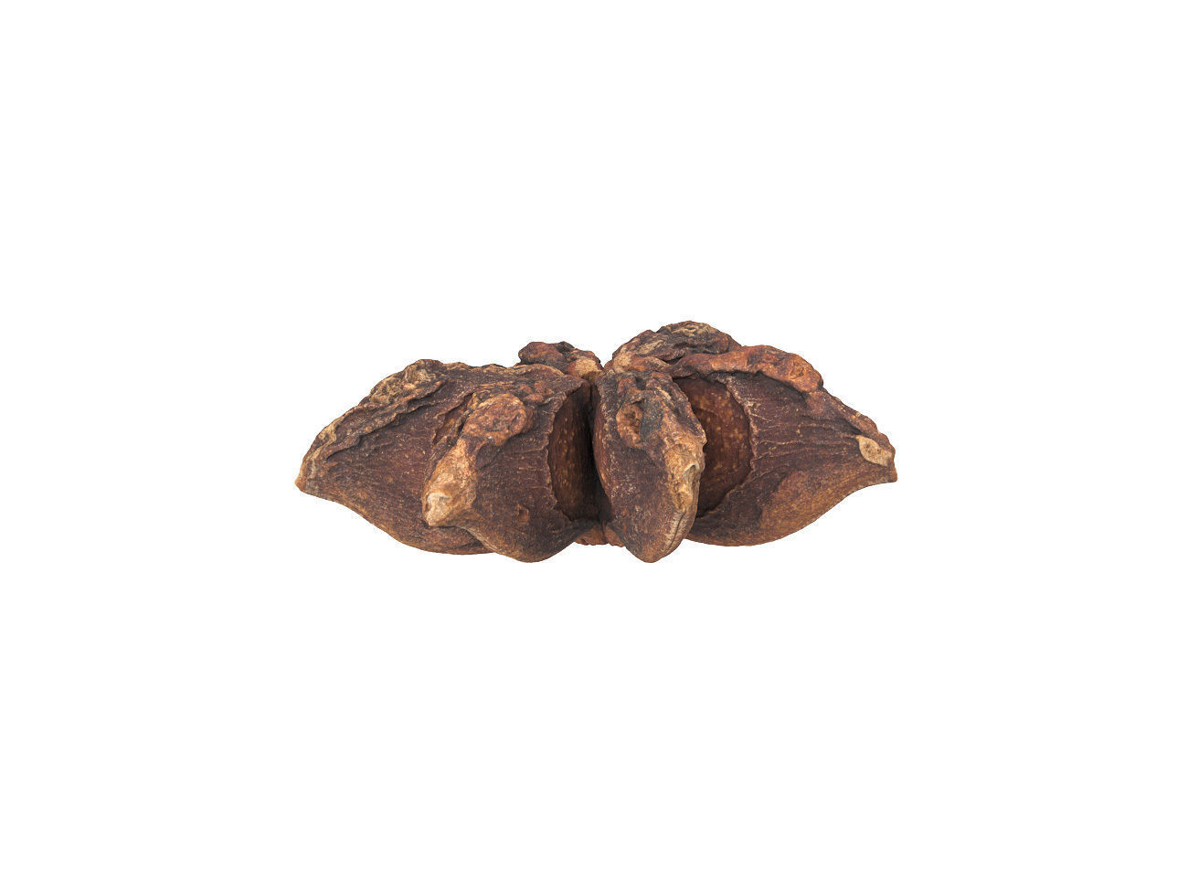 Photorealistic Star Anise 3D Scan 3D model_2