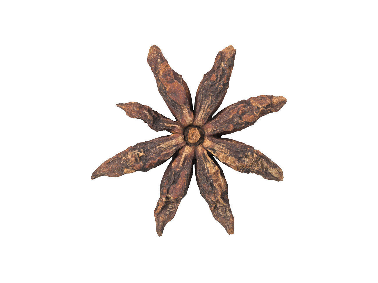 Photorealistic Star Anise 3D Scan 3D model_4