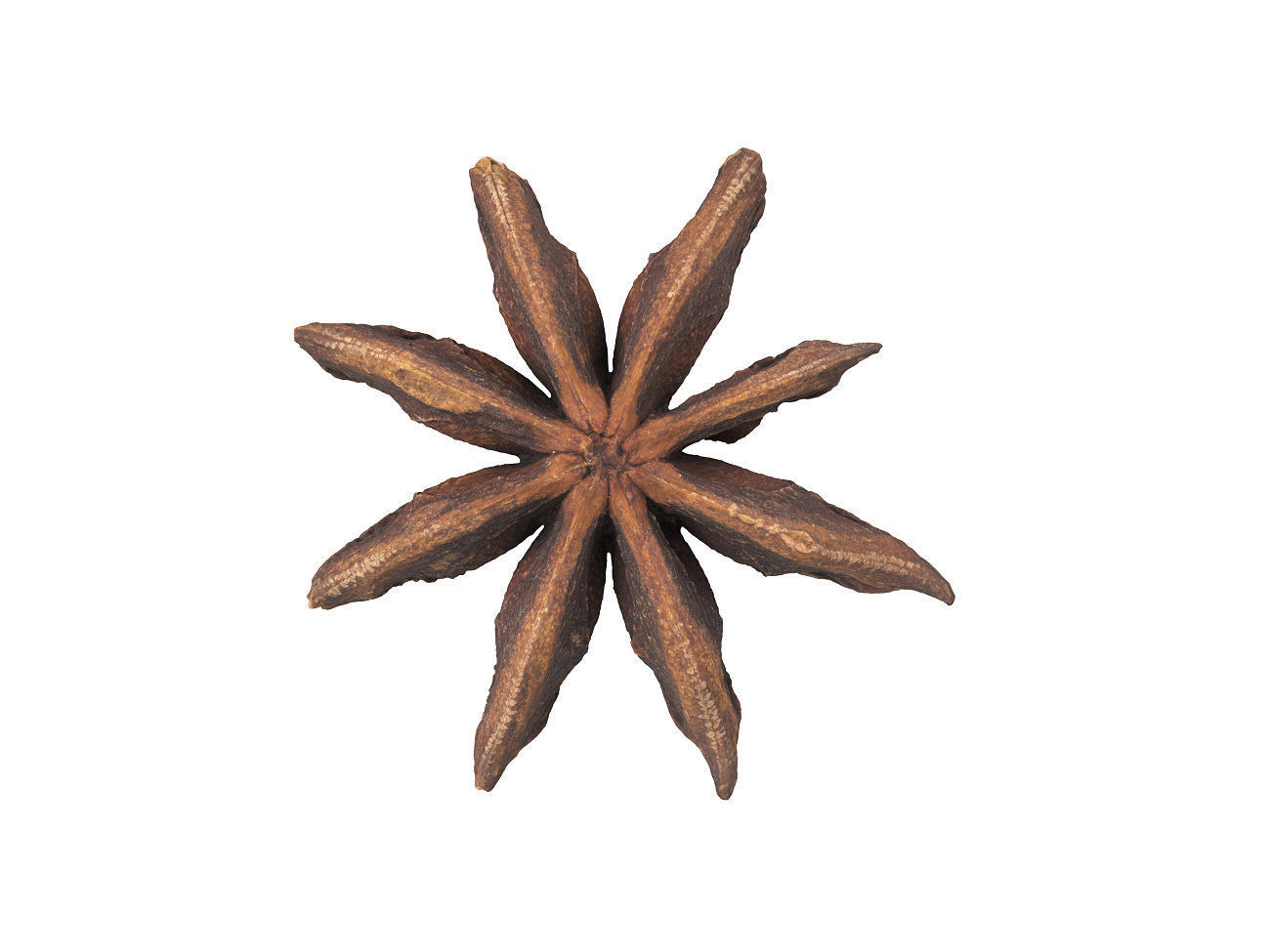 Photorealistic Star Anise 3D Scan 3D model_5