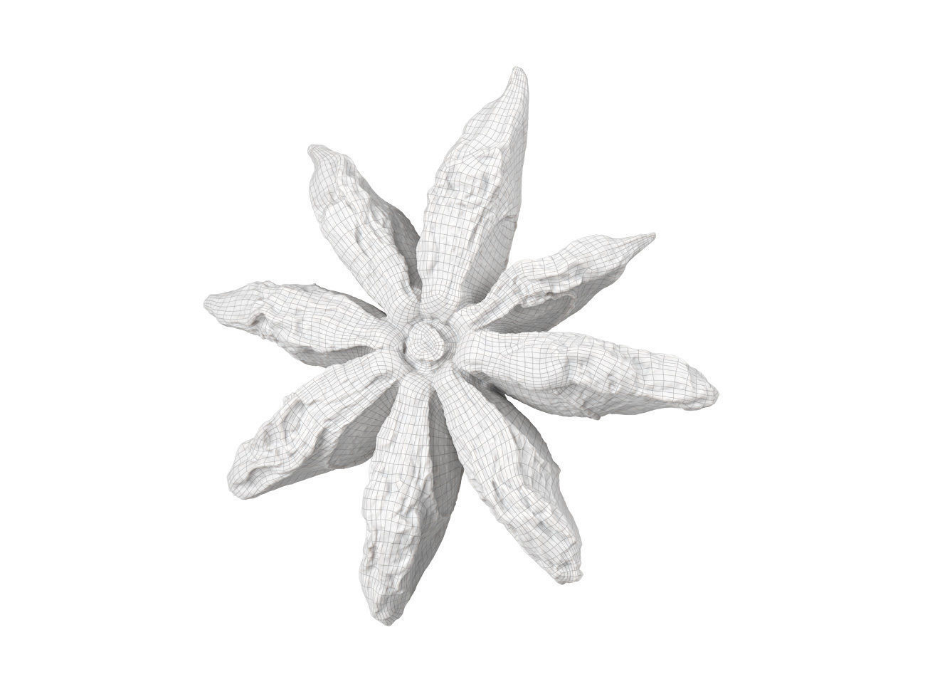 Photorealistic Star Anise 3D Scan 3D model_7
