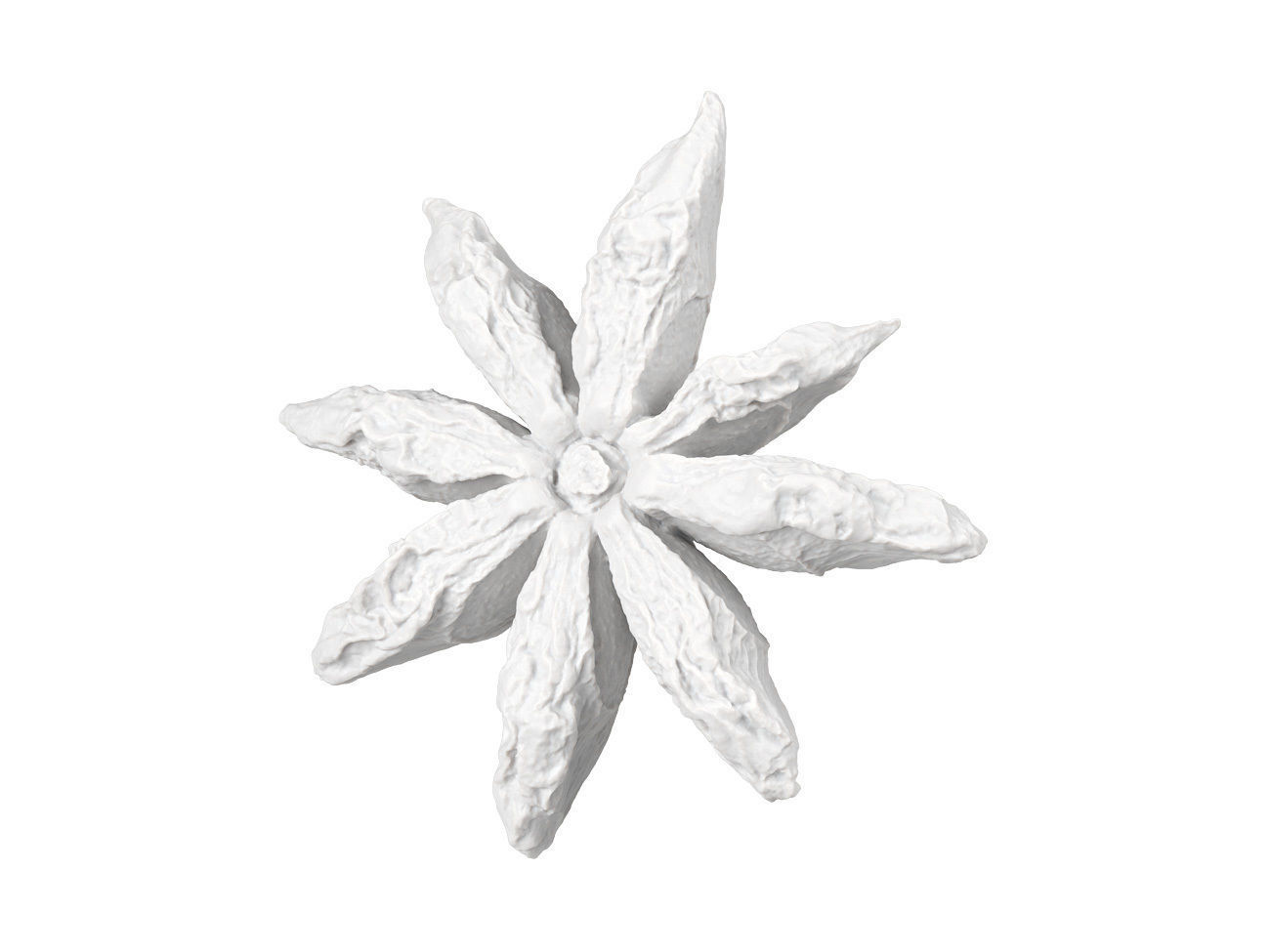 Photorealistic Star Anise 3D Scan 3D model_6