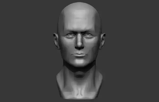Male bust 3D - printing model