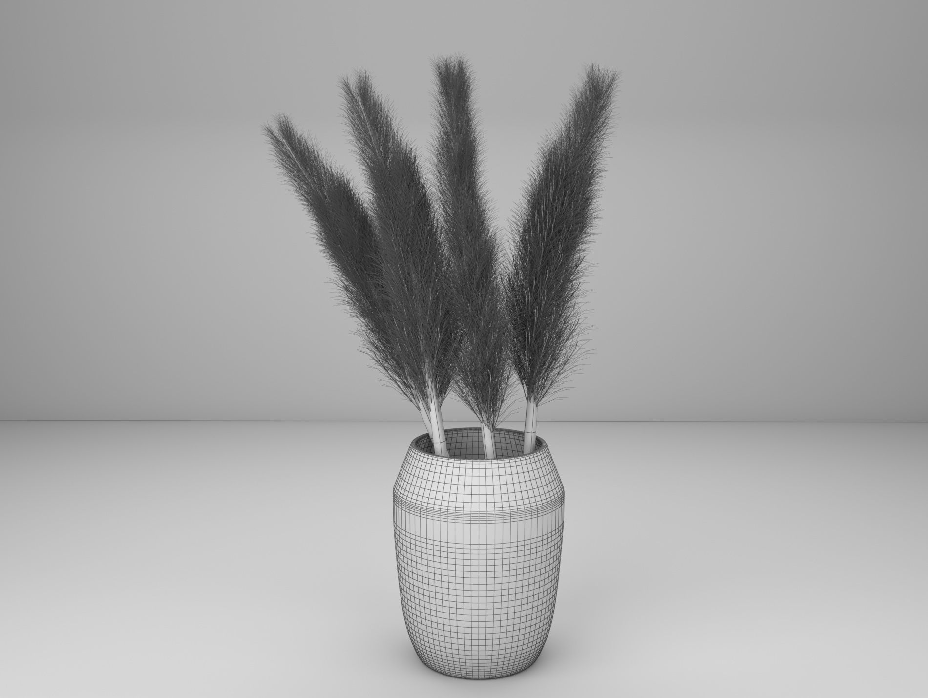 pampas grass with vase 3D model_3