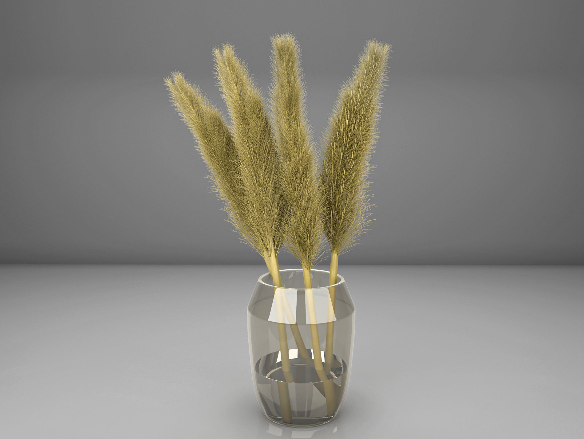 pampas grass with vase 3D model_2