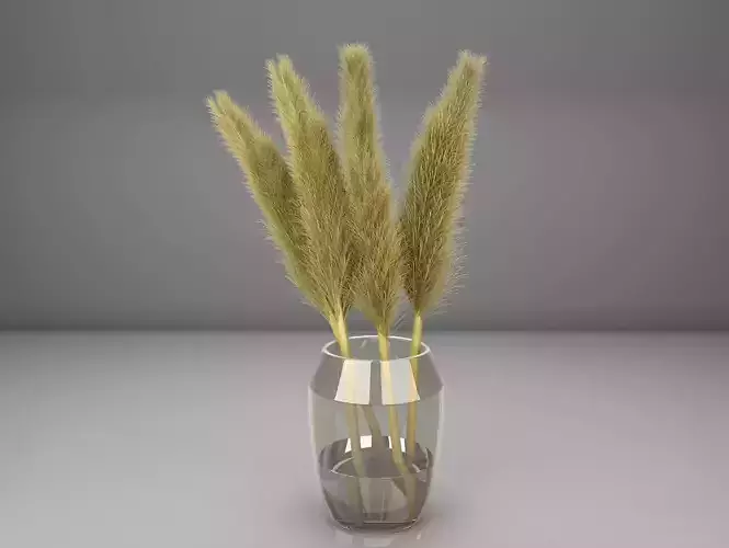 pampas grass with vase