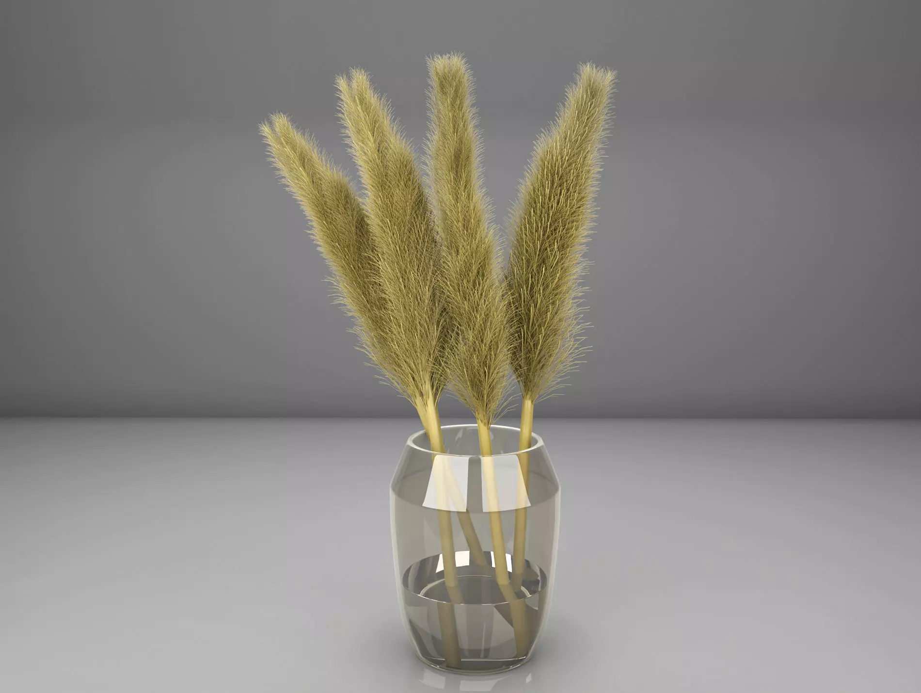 pampas grass with vase 3D model_0