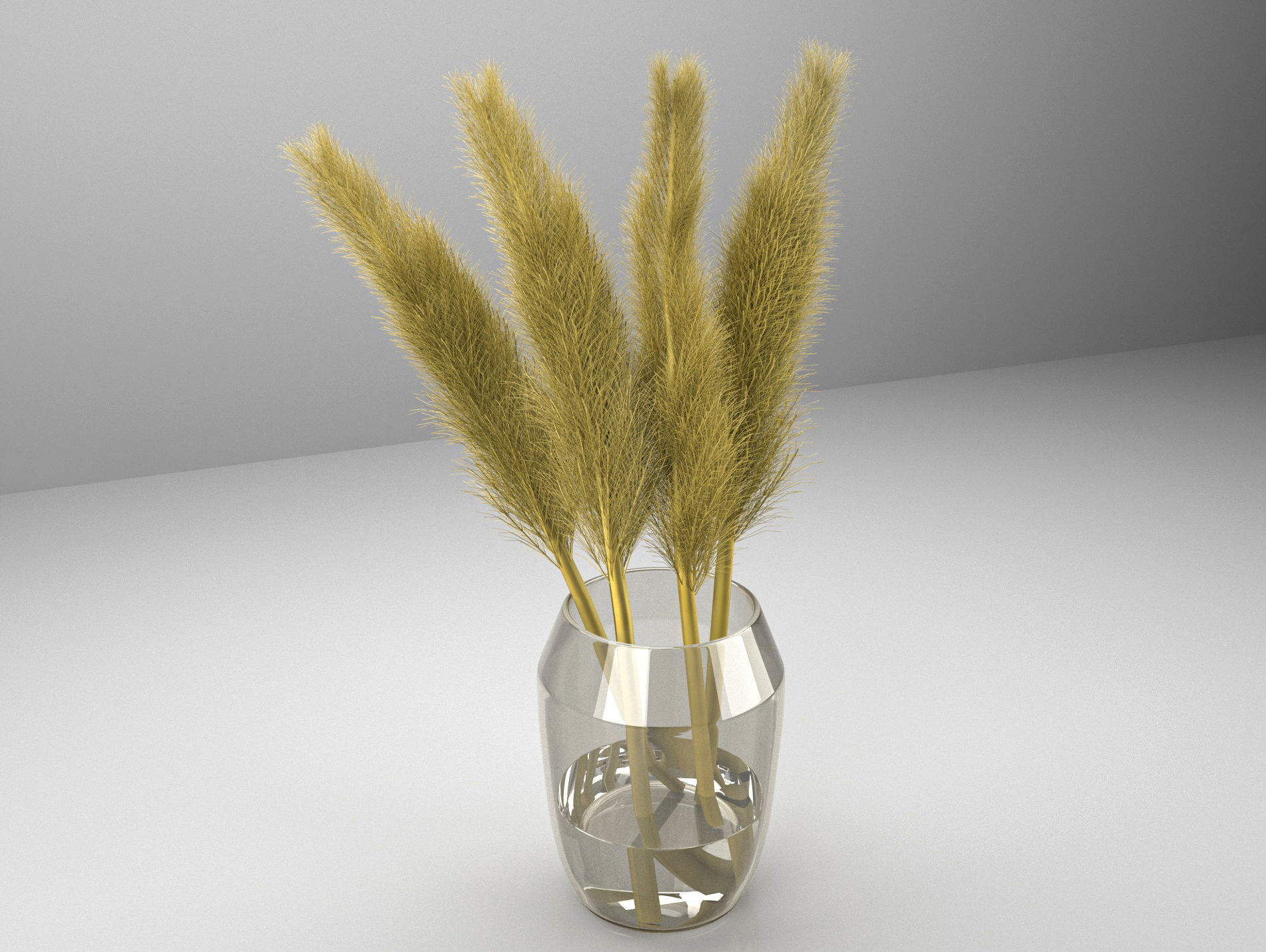 pampas grass with vase 3D model_1