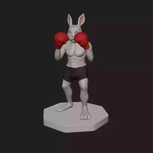 Bunny Fighter Character