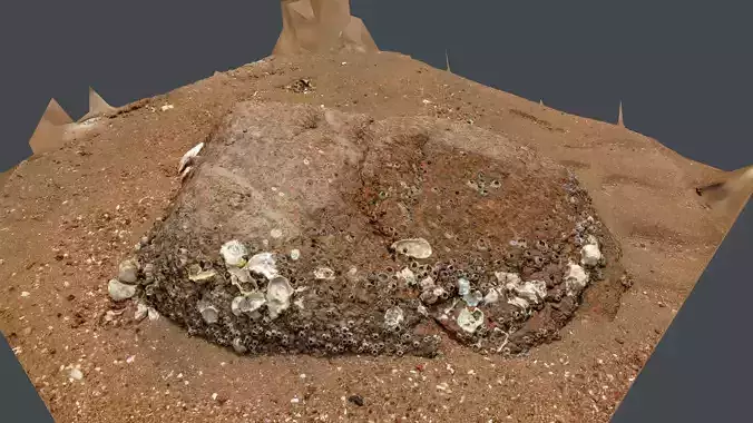 Photoscan Beach Rock 0002 only HighPoly Mesh 16K Texture