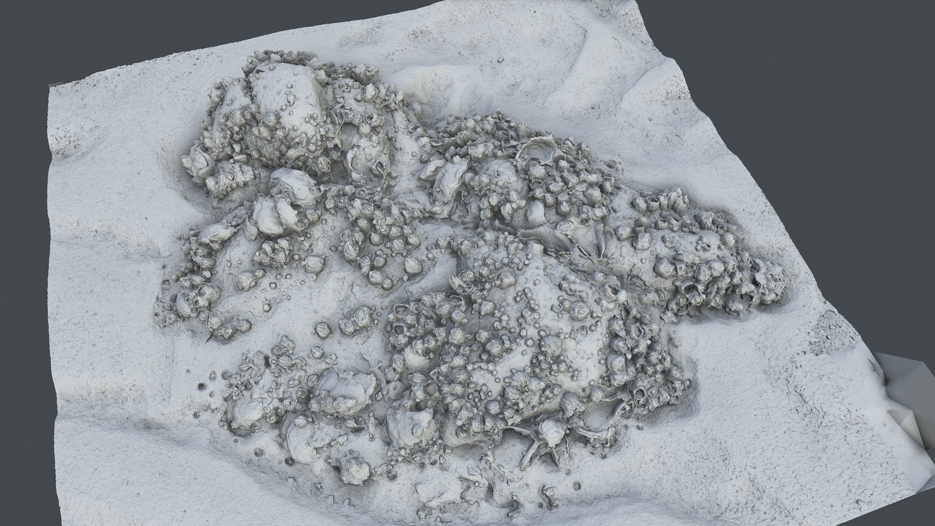 Photoscan Beach Rock 0004 only HighPoly Mesh 16K Texture 3D model_1