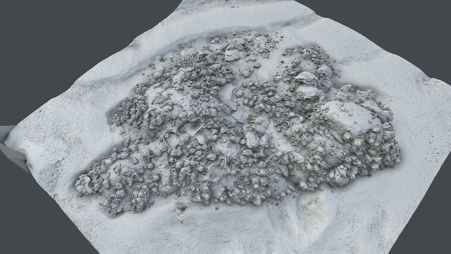 Photoscan Beach Rock 0004 only HighPoly Mesh 16K Texture 3D model_5