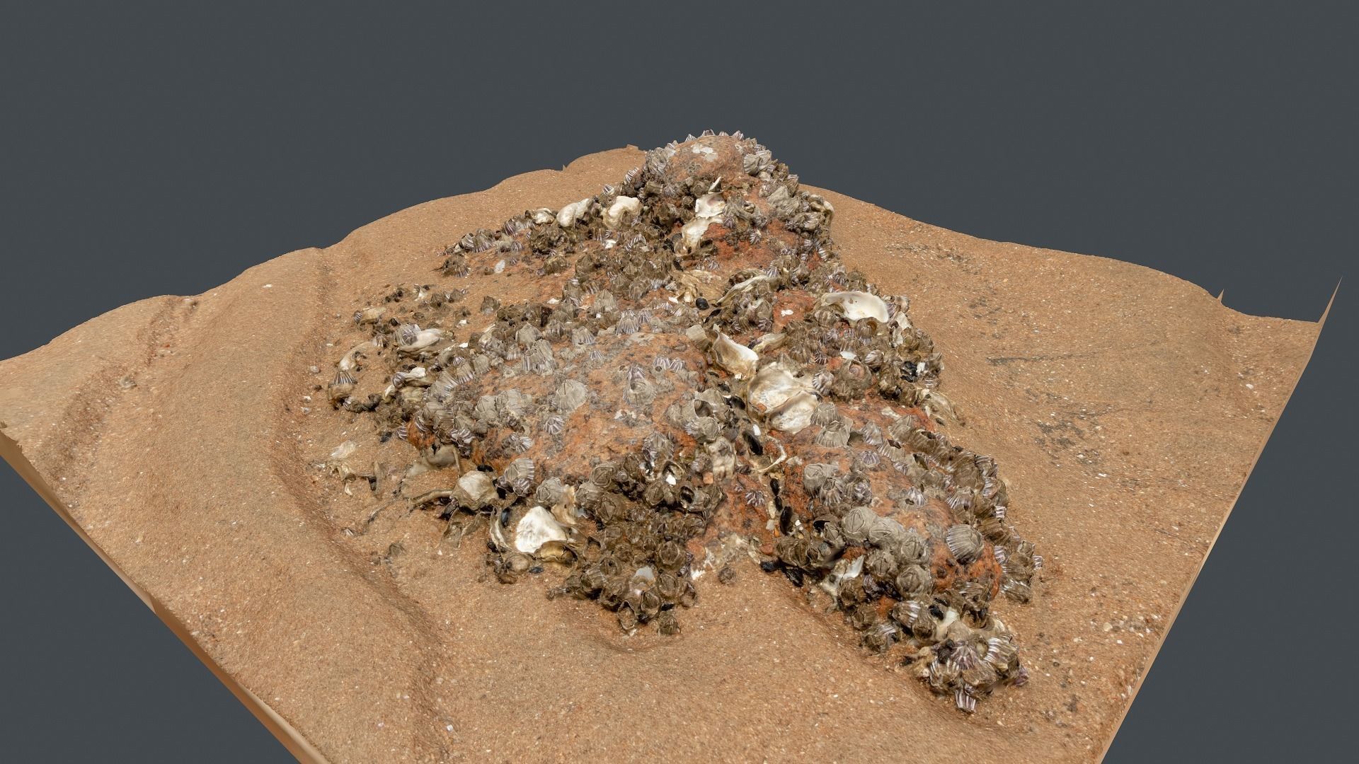 Photoscan Beach Rock 0004 only HighPoly Mesh 16K Texture 3D model_2