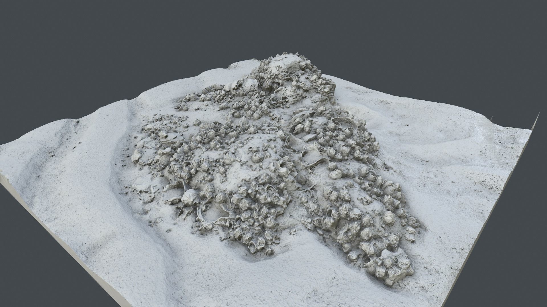Photoscan Beach Rock 0004 only HighPoly Mesh 16K Texture 3D model_3