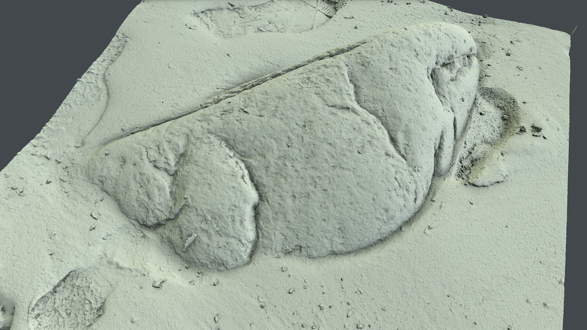 Photoscan Beach Rock 0006 only HighPoly Mesh 16K Texture 3D model_1