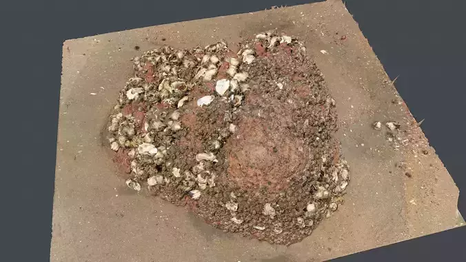 Photoscan Beach Rock 0007 only HighPoly Mesh 16K Texture