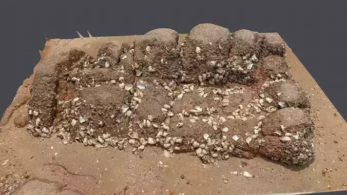 Photoscan Beach Rock 0008 only HighPoly Mesh 16K Texture