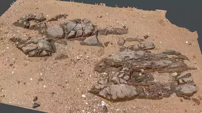 Photoscan Beach Rock 0009 only HighPoly Mesh 16K Texture