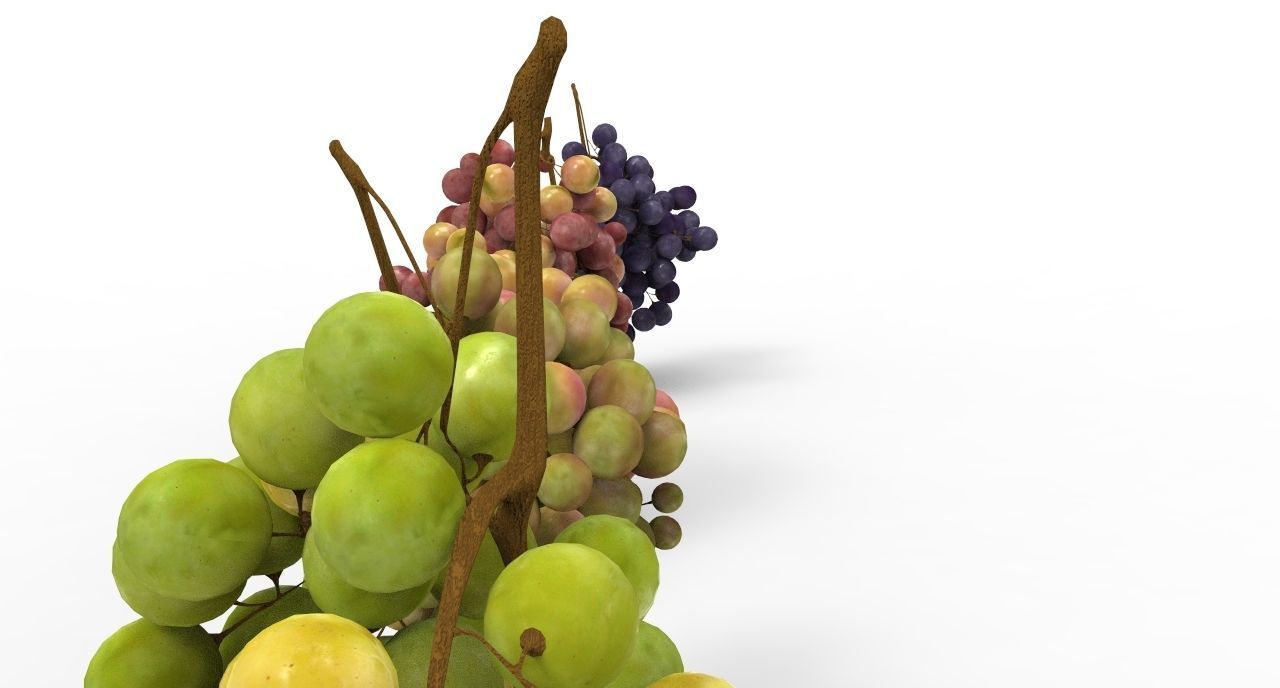 grape 4 types Low-poly 3D model_1