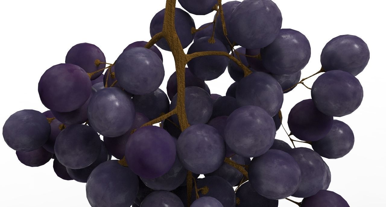 grape 4 types Low-poly 3D model_8