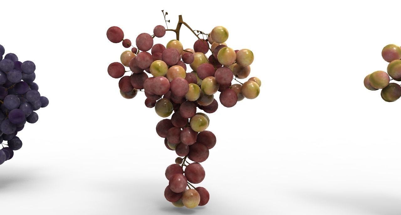 grape 4 types Low-poly 3D model_6