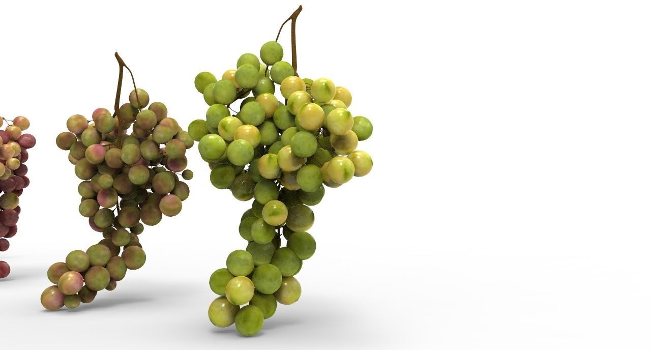 grape 4 types Low-poly 3D model_4