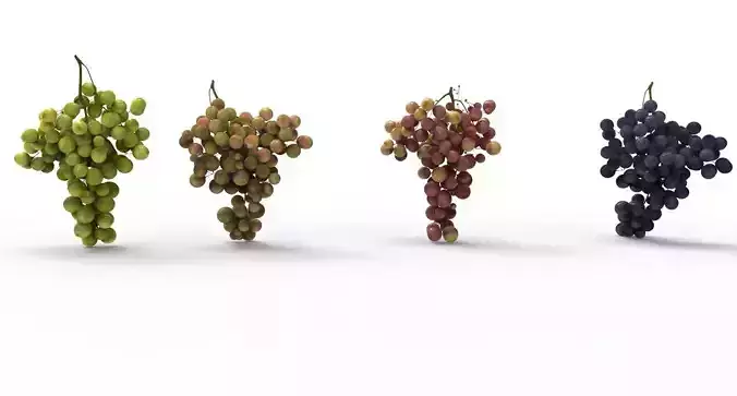 grape 4 types Low-poly 3D model