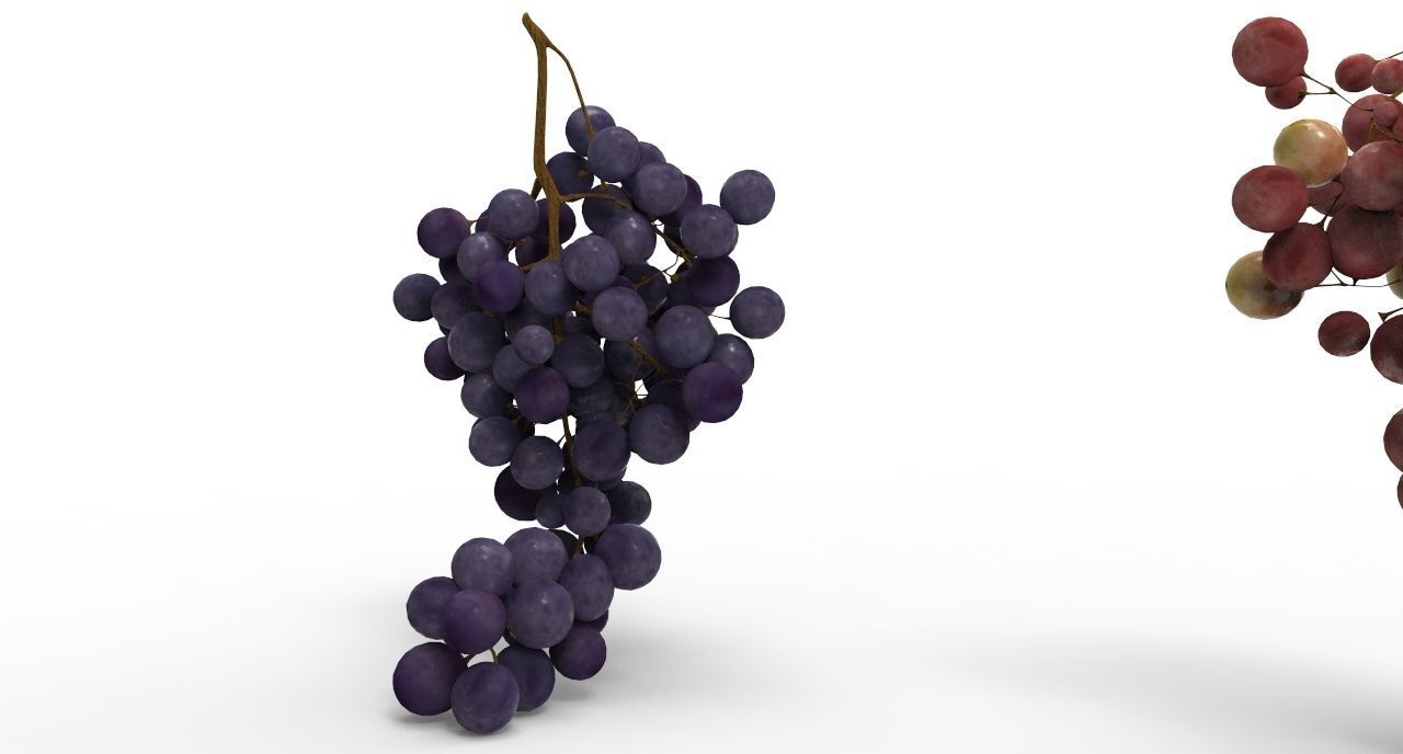 grape 4 types Low-poly 3D model_7