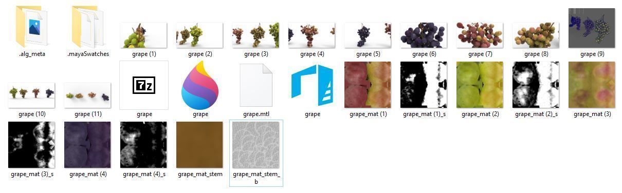 grape 4 types Low-poly 3D model_3