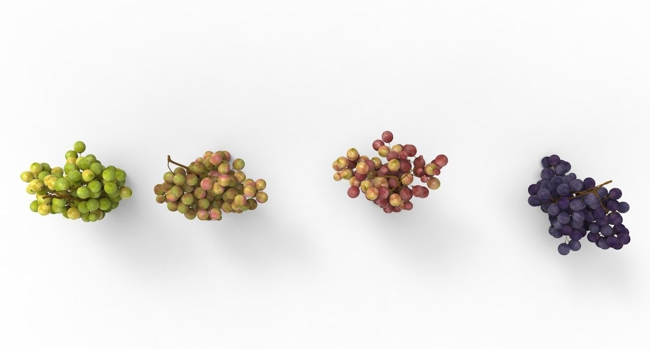 grape 4 types Low-poly 3D model_2