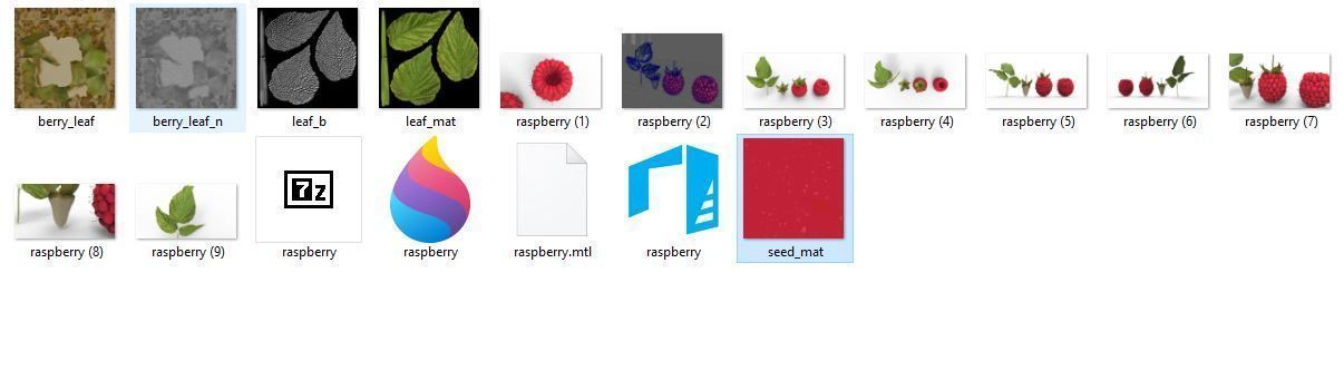 raspberry plant 3D model_2