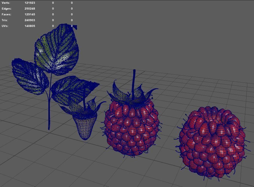 raspberry plant 3D model_3