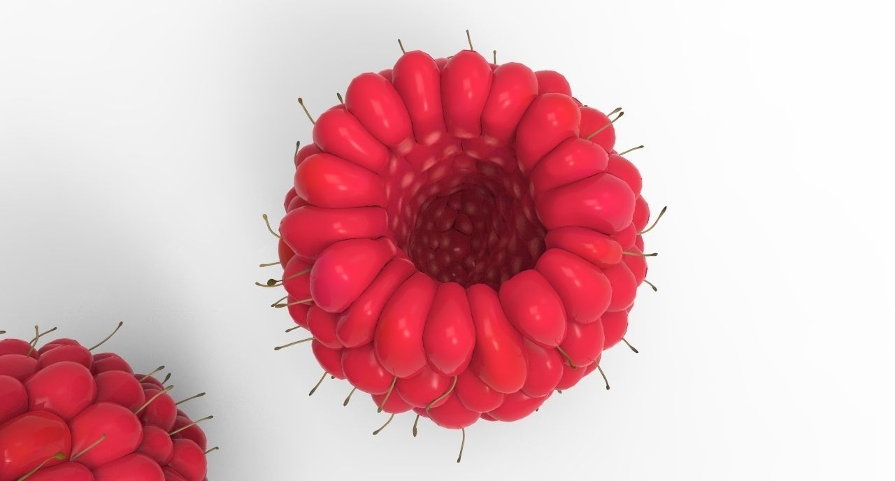 raspberry plant 3D model_1