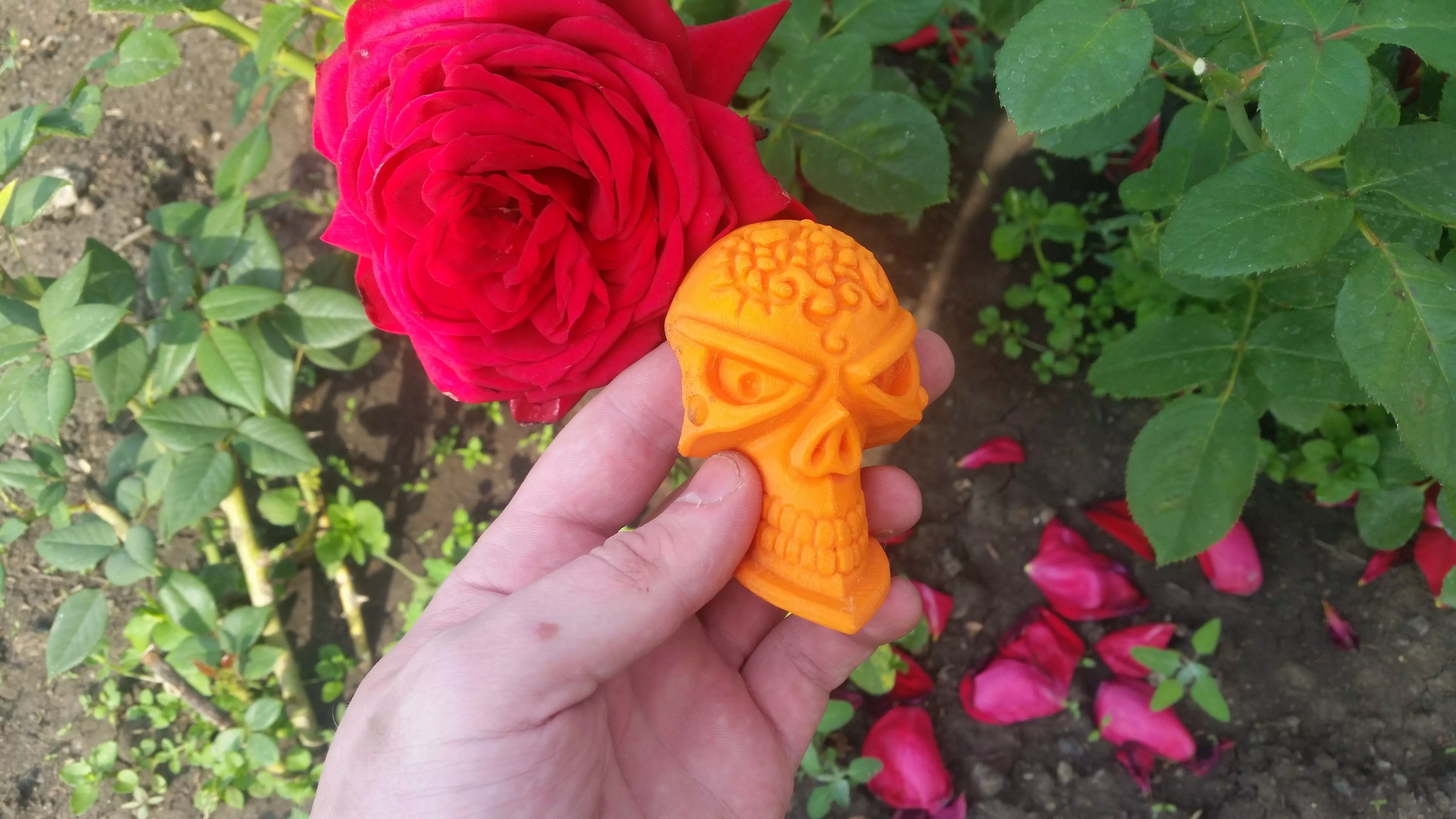 Pirate skull 3d print Free 3D print model