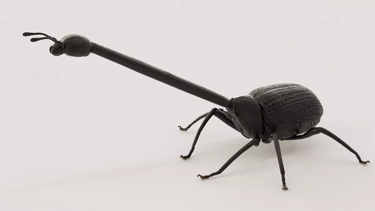 Giraffe weevil 3D print model