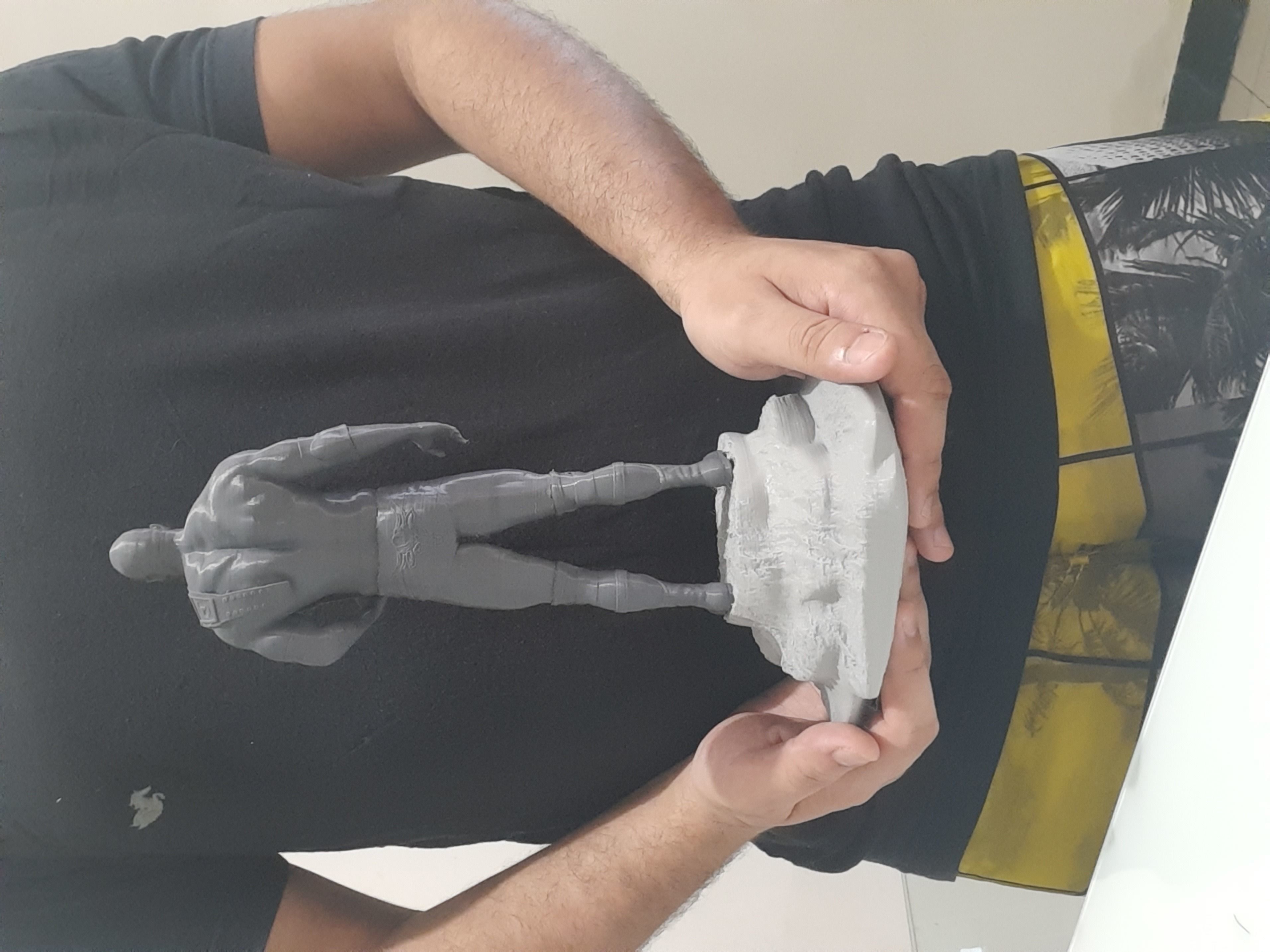 The Rock - Dwayne Johnson 3D Print 3D print model_5