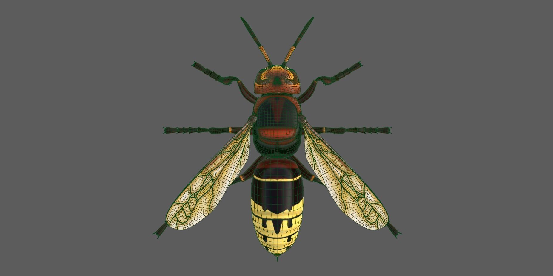 Realistic Hornet  Low-poly 3D model_13