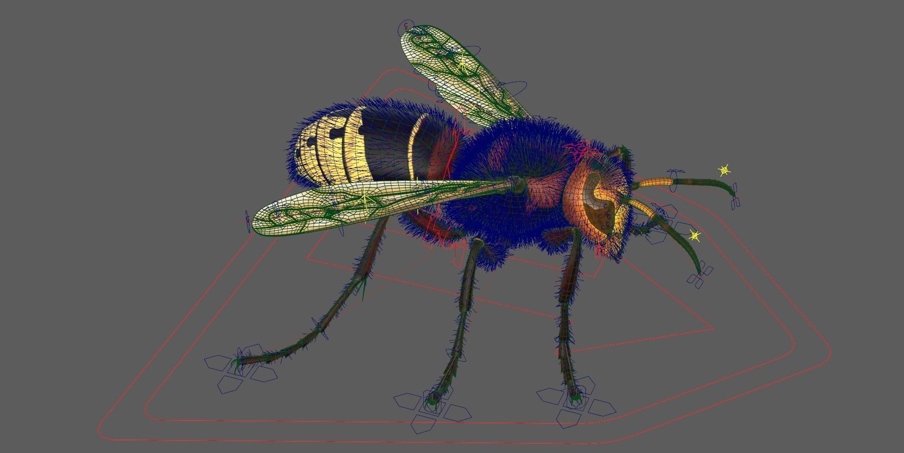 Realistic Hornet  Low-poly 3D model_10