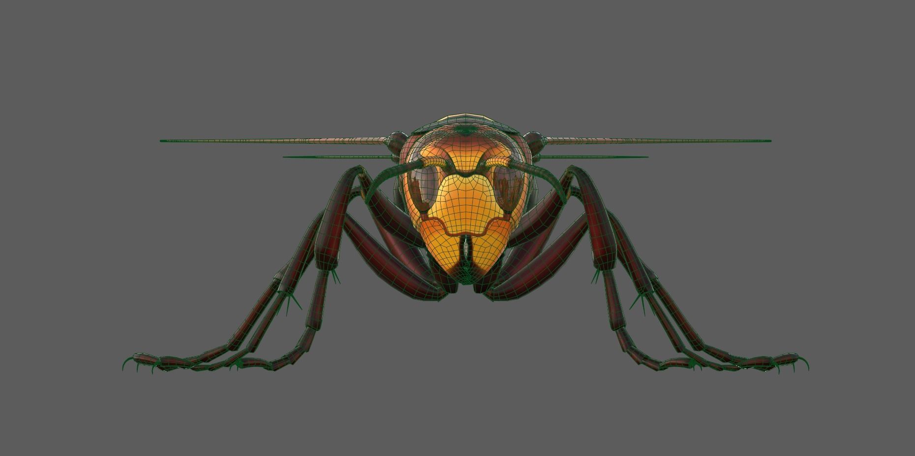 Realistic Hornet  Low-poly 3D model_14