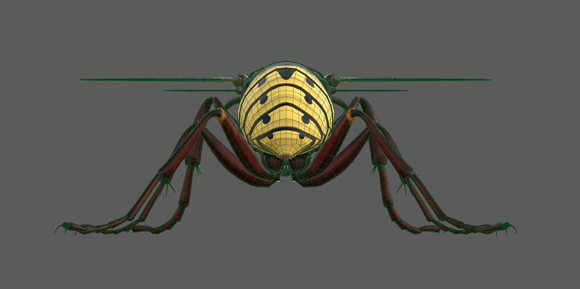 Realistic Hornet  Low-poly 3D model_15