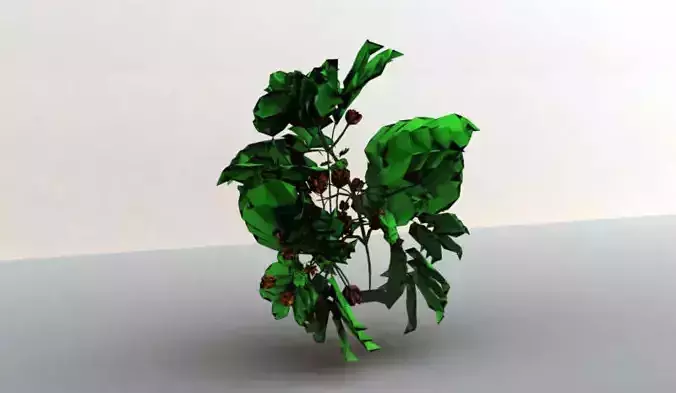 Yummy Plant Free 3D model
