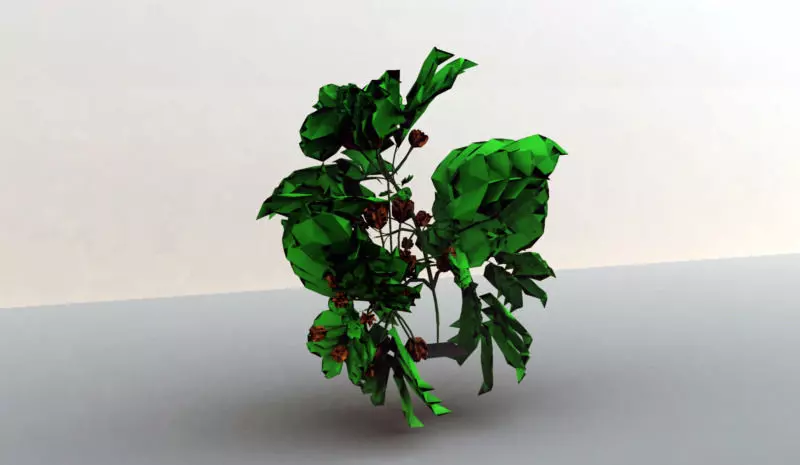 Yummy Plant Free 3D model_0