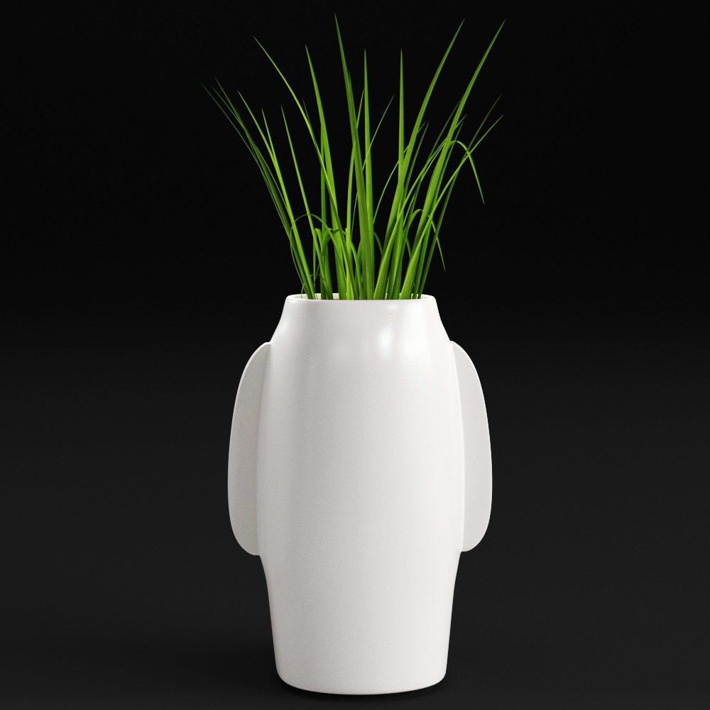 Amenna vase 3D model_7