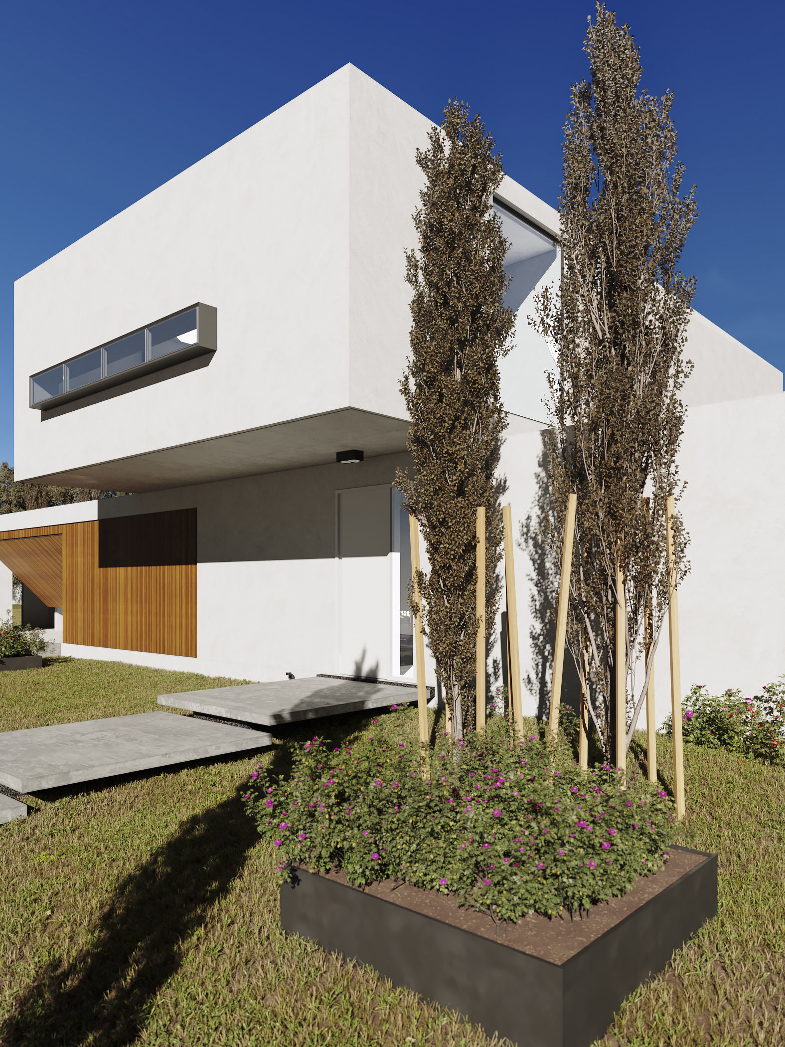 Pedro house 3D model_4