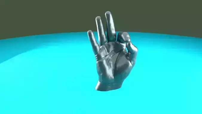 OK HAND SIGHN 3D print model