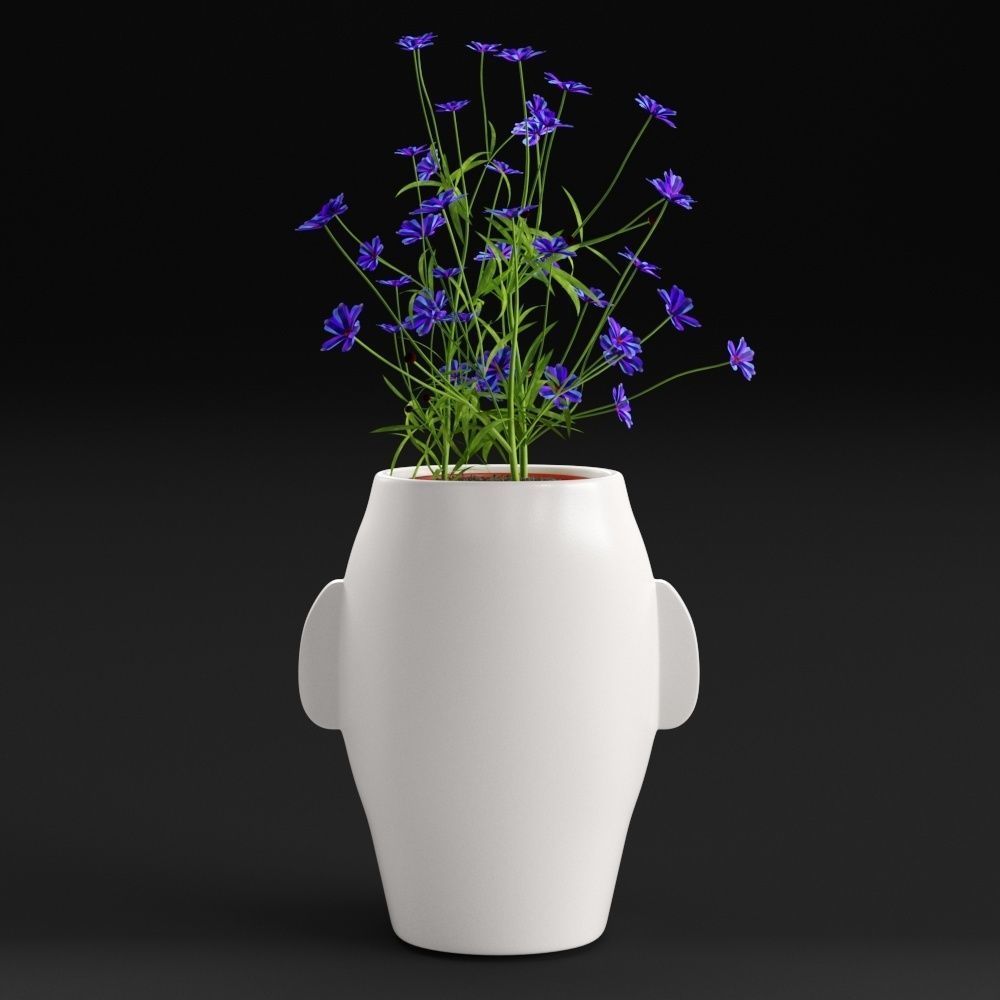 Amenna vase small 3D model_6