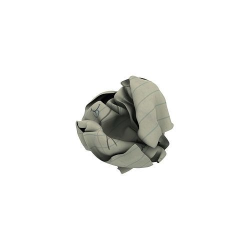 Crumpled paper 3D model
