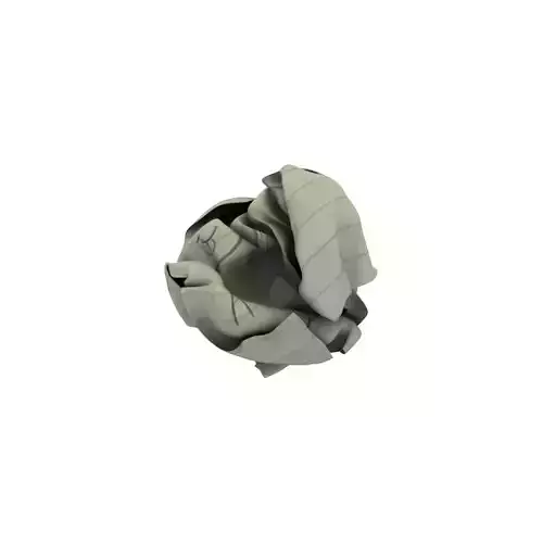 Crumpled paper