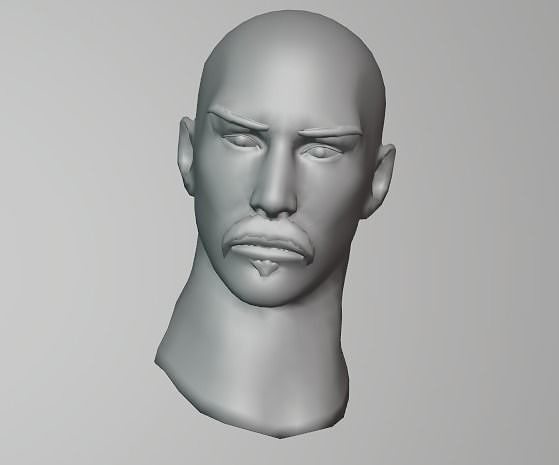 HEAD HUMAN Free 3D model